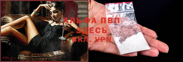 сатива Баксан