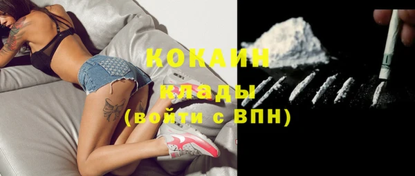 сатива Баксан