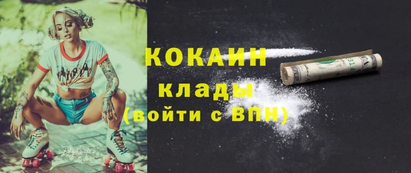 сатива Баксан