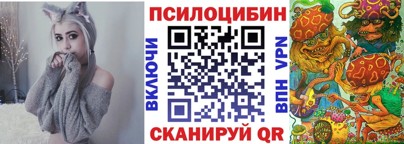 мега ссылки  Правдинск  Псилоцибиновые грибы Psilocybe 